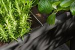 noa potager sur pied living noir
